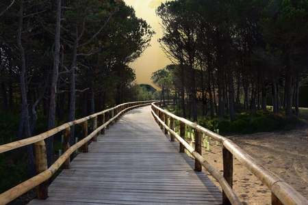 Trail into Morning Lightの写真素材