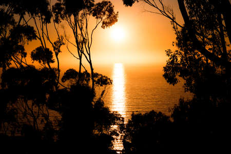 Sunset Sillhouettesの写真素材