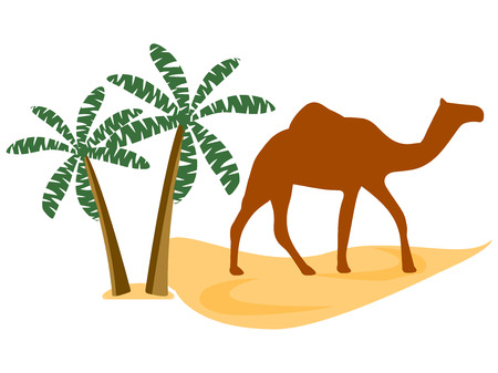 Camel in the desert, palm trees. Vector illustration.のイラスト素材
