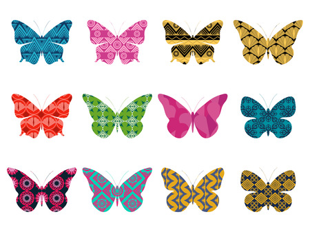 Butterflies with a pattern on a white background. Butterfly isolated.のイラスト素材