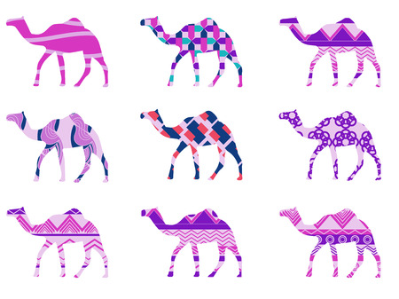 Camel with a pattern. Set of vector illustrations.のイラスト素材