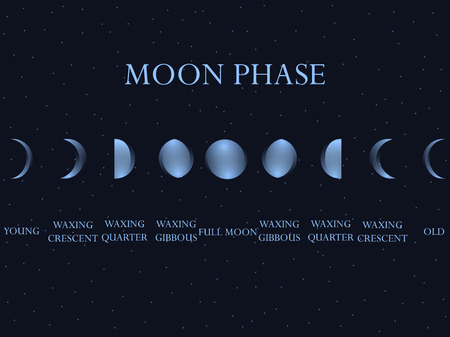 Phases of the moon. The whole cycle from new moon to full. Vector illustration.のイラスト素材
