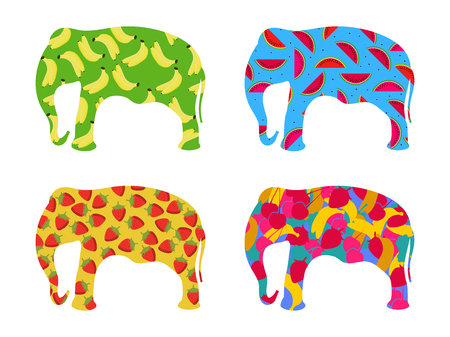 Indian elephant with a pattern of berries and fruit isolated on a white background. Bananas, strawberries and watermelon. Set of vector illustrationsのイラスト素材