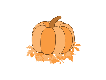 Pumpkin on leaves isolated on white background. Hand-drawn pumpkin, cartoon. Vector illustrationのイラスト素材