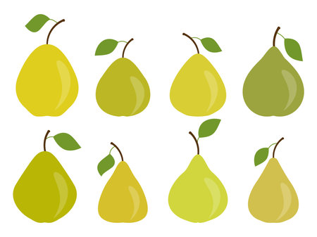 Pear set isolated on white background. Green pears with one leaf. Pears icon collection. Design for printing on fabric, banners and promotional items. vector illustrationのイラスト素材