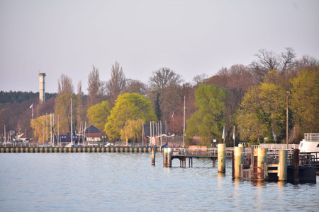 Dock and tree scene in lake in Wannsee Berlinの写真素材