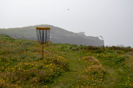 Disk golf course in a grassy meadow on Grimsey Island