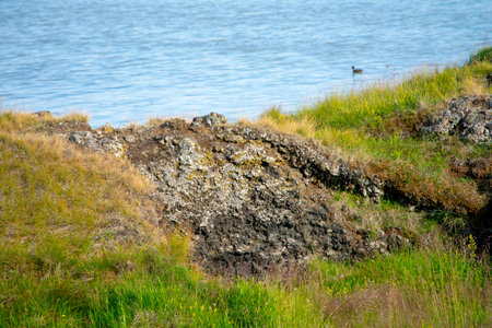 Landscape of lichen covered rock at Lake Myvatyn Diamond Circle