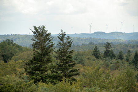 Landscape of forest scene view from Humberg term viewing tower in Palatinate forest