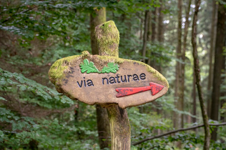 Landscape of woodland hiking path sign in Heidelberg Baden Wurttemburgの写真素材