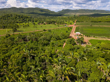 Aerial treetop view of forest on Chapada hill during summer in Nobres Bom Jardim Mato Grosso Brazilの写真素材