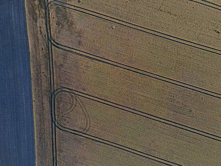 Aerial top down of rapeseed canola oil field on the Island of Rugen in Mecklenberg Vorpommern...
