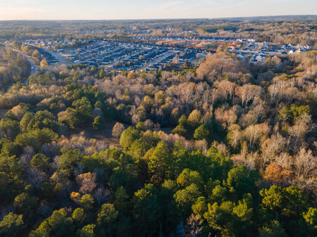 Aerial landscape of pond at Euchee Creek Greenway Trail during Fall in Grovetown Augusta Georgia USA