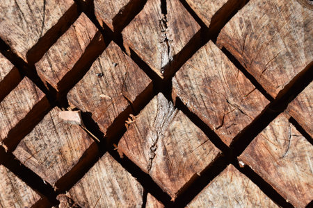Texture wooden cross cut timber