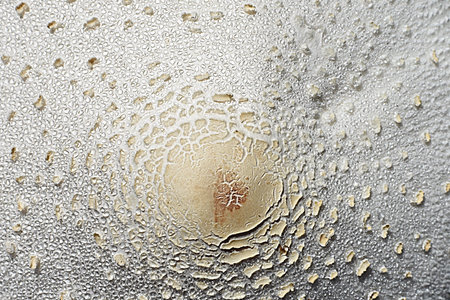 White mushroom texture