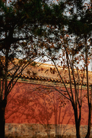 the trees and red wall in the Imperial Palaceのeditorial素材