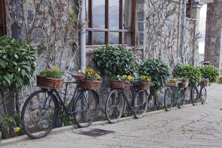 decorative bicycles