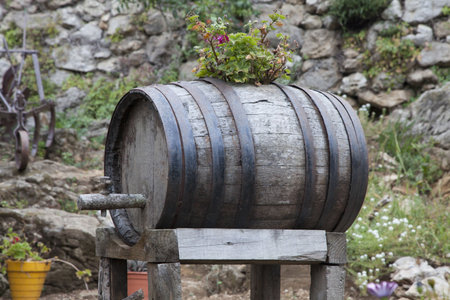 wine barrel