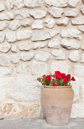 old wall with a clay jar filled with geraniumsの写真素材