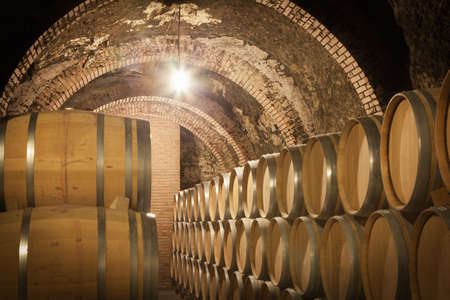 Valladolid, Spain, July 9th, 2011. Interior of old cellar vaults of brick, the Ribera del Duero, with wine barrels stackedのeditorial素材