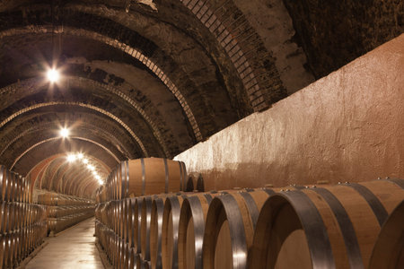 Valladolid, Spain, July 9th, 2011. Interior of old cellar vaults of brick, the Ribera del Duero,...