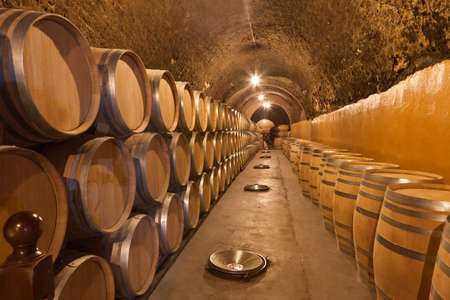 barrels of wine in an old winery in Ribera del Duero, Valladolid のeditorial素材