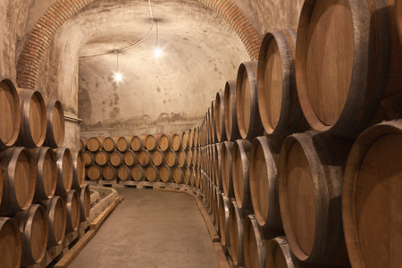 Wine barrels in cellar