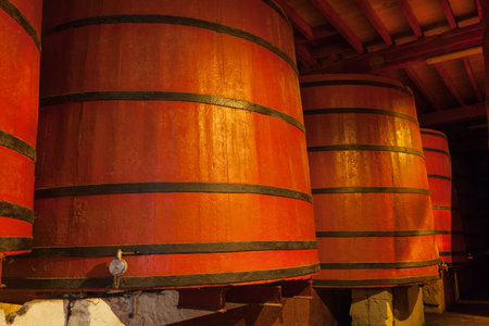 Casks old red wine in a cellarの写真素材