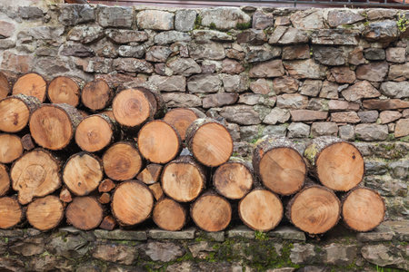 Tree trunks cut for firewood