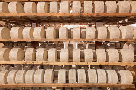Artisan cheeses sheep em healing processの写真素材