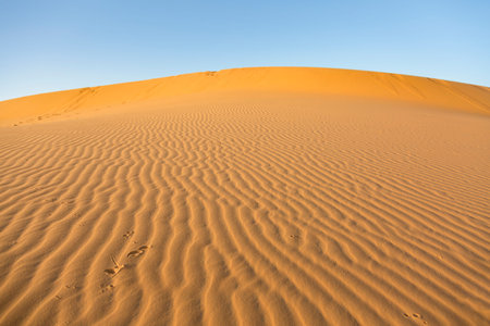 Waves on the dune in the desert
