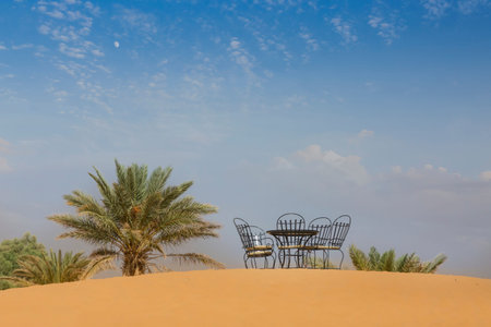 Oasis in the desertの写真素材