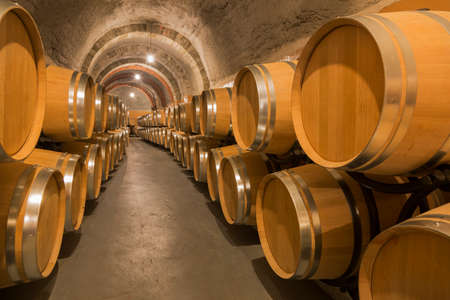 Barrels of wine in an old winery in Ribera del Duero, Valladolidのeditorial素材