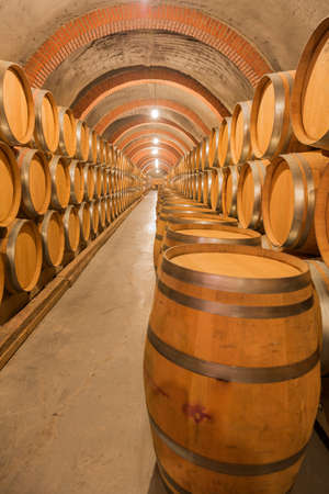 Barrels of wine in an old winery in Ribera del Duero, Valladolidのeditorial素材