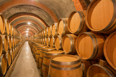 Barrels of wine in an old winery in Ribera del Duero, Valladolidのeditorial素材