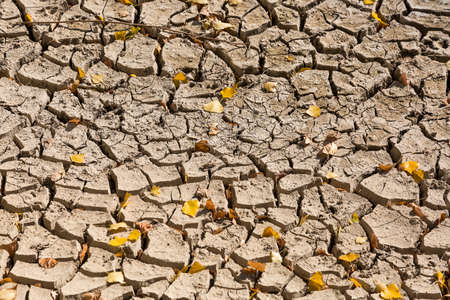 Soil broken by droughtの写真素材