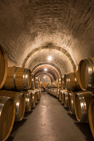 Penafiel, Spain - August 3, 2017; Barrels of wine in an old winery in Ribera del Duero, Valladolid