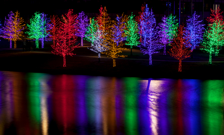 Trees tightly wrapped in LED lights for the Christmas holidays reflecting in lake. Each tree is wrapped in one color.の写真素材