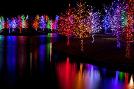 Trees tightly wrapped in LED lights for the Christmas holidays reflecting in lake. Each tree is wrapped in one color.の写真素材