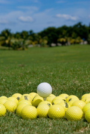 Golf Ball - Standing out in a crowdの写真素材