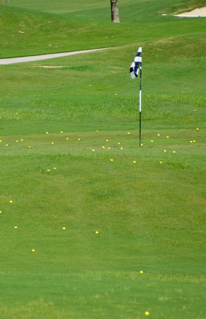 Many Yellow Golf Ball around Hole at Driving Rangeの写真素材