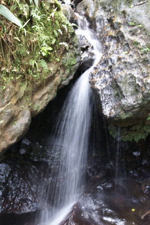 El Yunque rainforest waterfall