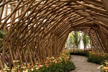 The bamboo cave in the parkの写真素材