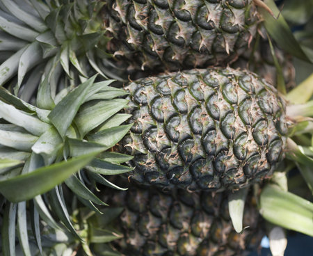 Pineapple put in the plastic basket.