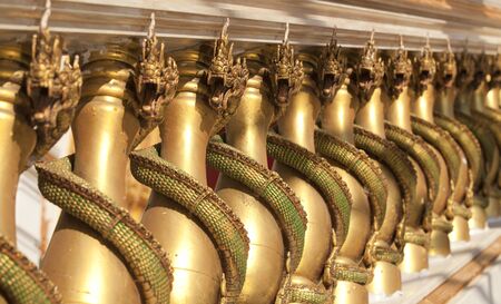 Thai golden dragon with many gold columns.の写真素材