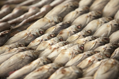 sardines preserved with salt on net backgroundの写真素材