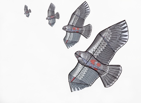 Four layer of handmade black falcon kite on isolated background.のeditorial素材