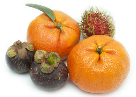 Tropical fruit, orange and mangosteen の写真素材