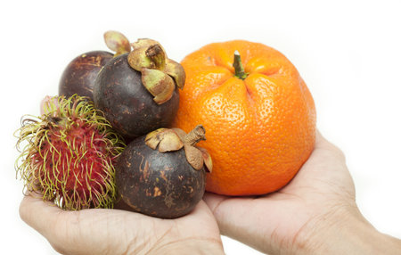 Thai fruit on the hand (Mangosteen, Orange and rambutan).の写真素材