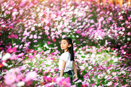 Little asian girl in a cosmos flower gardenの写真素材